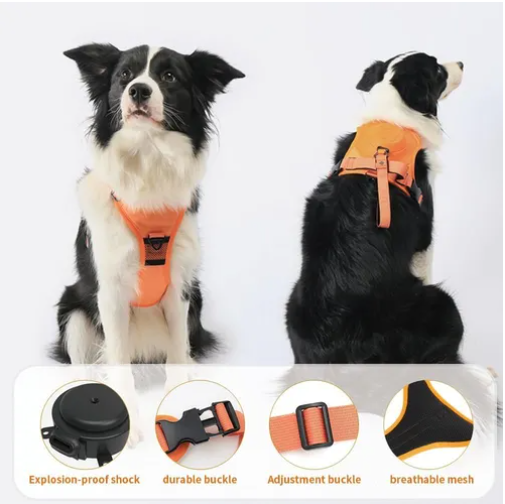 Arnés para perros 2 en 1
