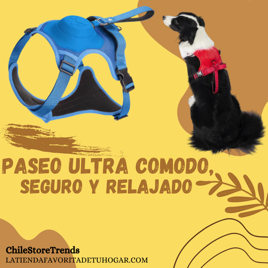 Arnés para perros 2 en 1